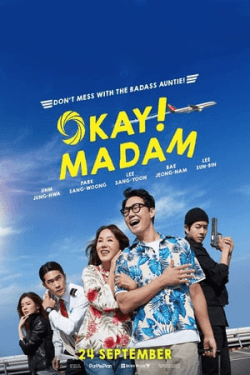 Poster Okay Madam (2020)