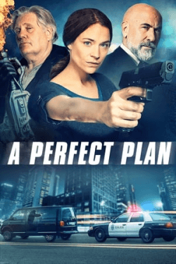 Poster A Perfect Plan (2020)