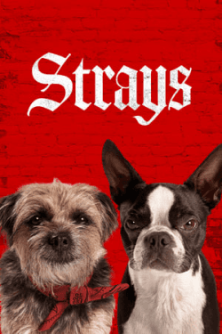 Poster Strays (2023)