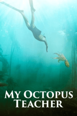 Poster My Octopus Teacher (2020)