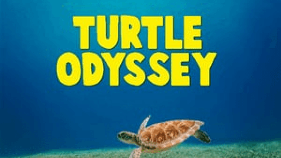 Turtle Odyssey (2018)