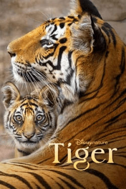 Poster Tiger (2024)