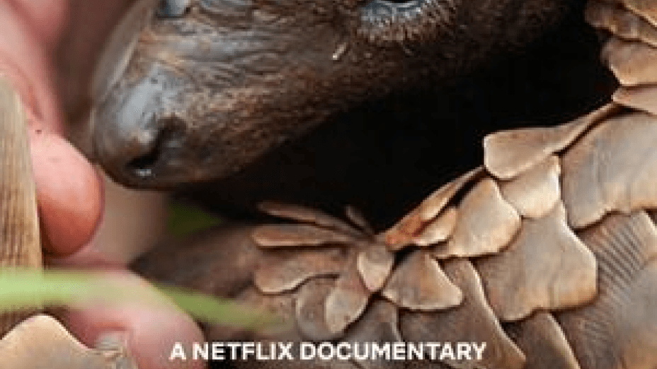 Pangolin: Kulu’s Journey (2025)