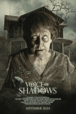 Poster Voice of Shadows (2024)
