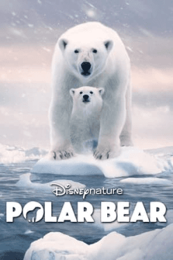 Polar Bear (2022)