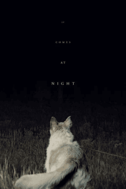 Poster It Comes At Night (2017)