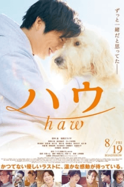 Poster Haw (2022)