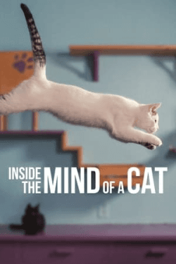 Poster Inside the Mind of a Cat (2022)