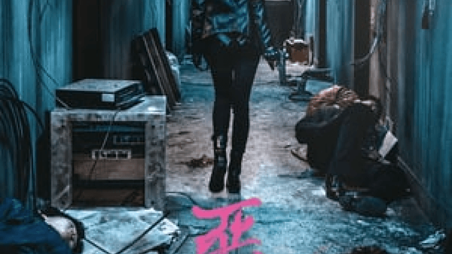 The Villainess (2017)