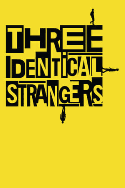 Poster Three Identical Strangers (2018)