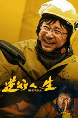 Poster Upstream (2024)