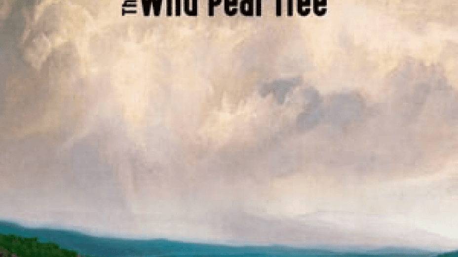 The Wild Pear Tree (2018)