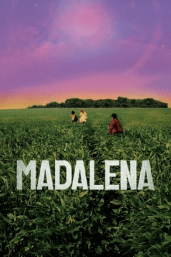 Poster Madalena (2021)