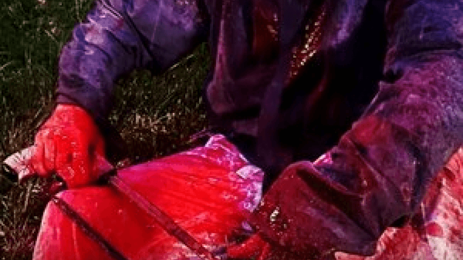 The Devil’s Hacksaw (2025)