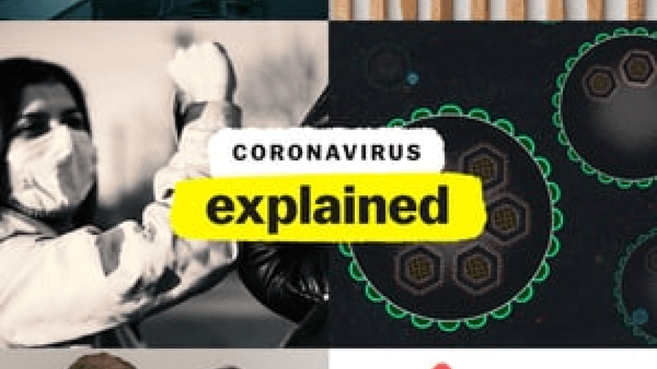 Coronavirus, Explained