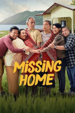 Poster Missing Home