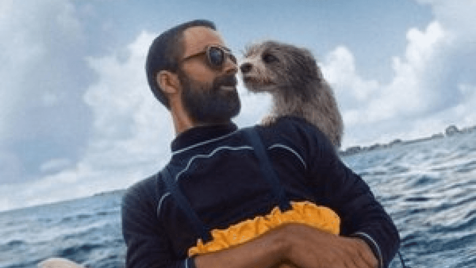 Pets (2025)