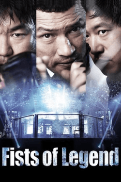 Poster Fists of Legend (2013)