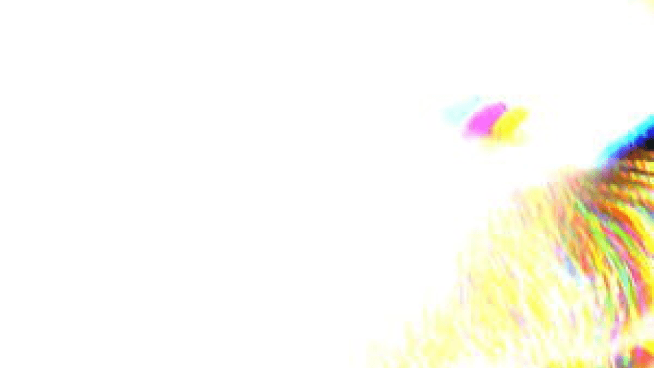 Distort (2025)