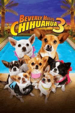 Poster Beverly Hills Chihuahua 3: Viva La Fiesta! (2012)