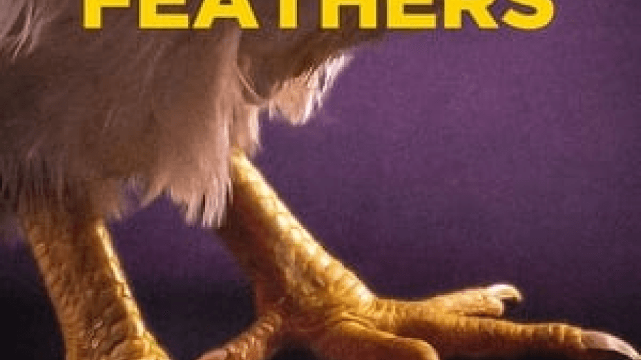 Feathers (2022)