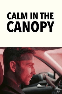 Poster Calm in the Canopy (2024)