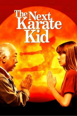 Poster The Next Karate Kid (1994)