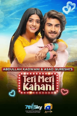 Teri Meri Kahani (2021)