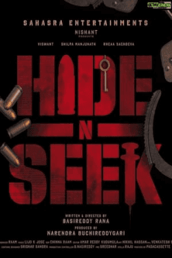 Poster Hide N Seek (2024)