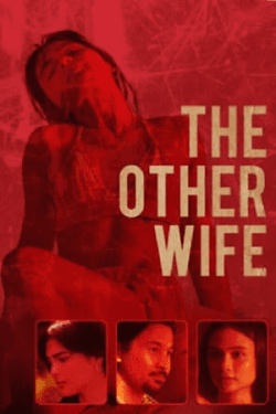 Poster The Other Wife (2021)