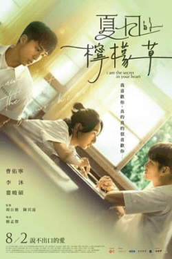 Poster Xia ri de ning meng cao (2024)