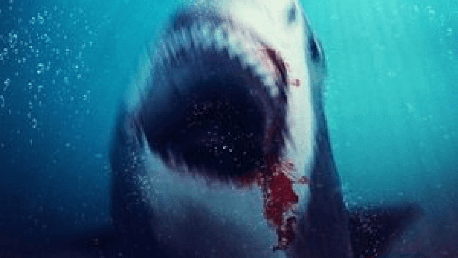 Bull Shark 2 (2025)