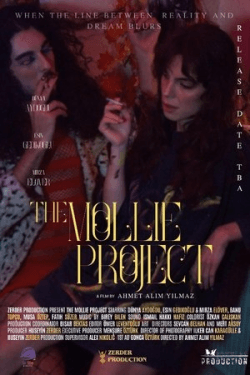Poster The Mollie Project (2025)
