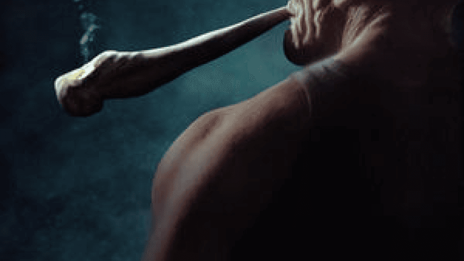 Shiver Me Timbers (2025)