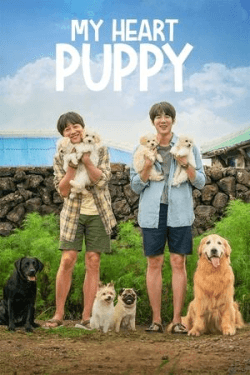Poster My Heart Puppy (2023)