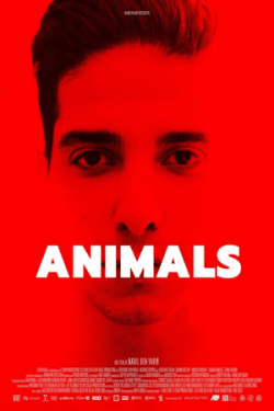 Poster Animals (2021)