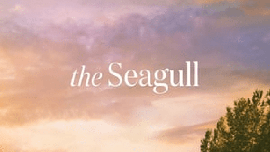 The Seagull (2018)