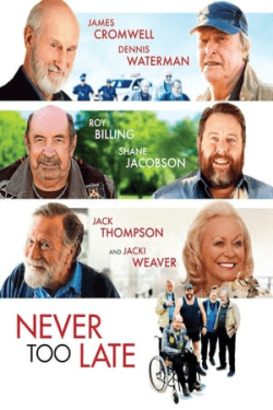 Poster Never Too Late (2020)