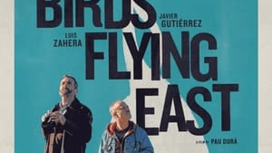 Birds Flying East (2024)