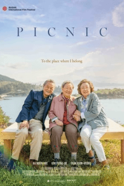 Poster Picnic (2024)