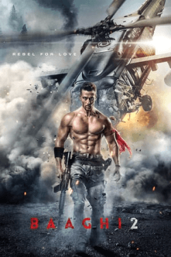 Poster Baaghi 2 (2018)